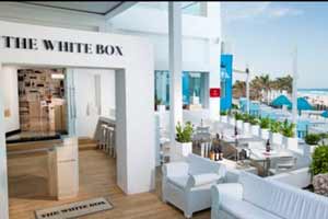 The White Box Gastrobar - Grand Oasis Cancun